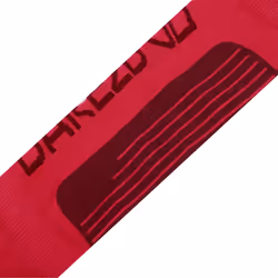 Dare 2B - Chaussettes de ski TECHNICAL - Femme (Rose baie / Figue)
