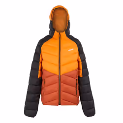 Regatta - Veste isolée DALENT - Homme (Orange sombre / Ocre rouge)