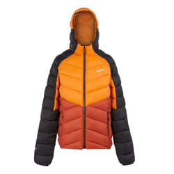 Regatta - Veste isolée DALENT - Homme (Orange sombre / Ocre rouge)