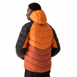 Regatta - Veste isolée DALENT - Homme (Orange sombre / Ocre rouge)