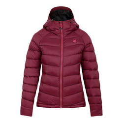 Dare 2B - Veste matelassée TORREK - Femme (Figue)