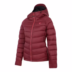 Dare 2B - Veste matelassée TORREK - Femme (Figue)