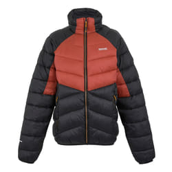 Regatta - Veste matelassée DALENT - Homme (Ocre rouge / Noir)