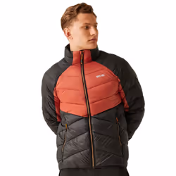 Regatta - Veste matelassée DALENT - Homme (Ocre rouge / Noir)