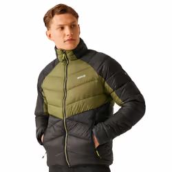 Regatta - Veste matelassée DALENT - Homme (Vert néphrite / Noir)