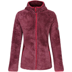 Dare 2B - Haut de sport TORREK MOUNTAIN PRO - Femme (Figue)