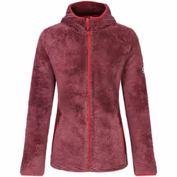 Dare 2B - Haut de sport TORREK MOUNTAIN PRO - Femme (Figue)