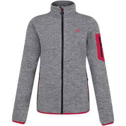 Dare 2B - Veste polaire TORREK MOUNTAIN SERIES - Femme (Gris charbon chiné)
