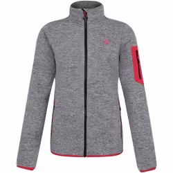 Dare 2B - Veste polaire TORREK MOUNTAIN SERIES - Femme (Gris charbon chiné)
