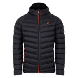 Dare 2B - Veste matelassée TORREK MOUNTAIN - Homme (Noir)