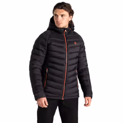 Dare 2B - Veste matelassée TORREK MOUNTAIN - Homme (Noir)