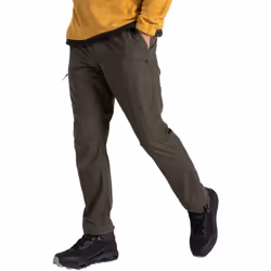 Craghoppers - Pantalon de randonnée BRISK - Homme (Vert forêt)