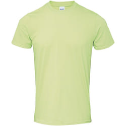 Gildan - T-shirt SOFTSTYLE - Homme (Vert pistache)
