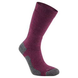 Craghoppers - Chaussettes TREK - Adulte (Pourpre)