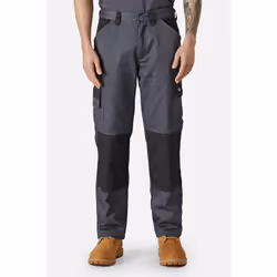 Dickies - Pantalon de travail - Homme (Noir / Gris ardoise)