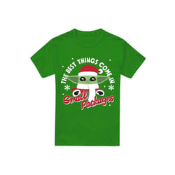 Star Wars: The Mandalorian - T-shirt - Homme (Vert Kelly)