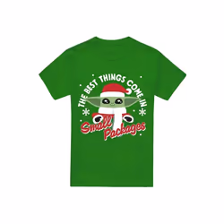 Star Wars: The Mandalorian - T-shirt - Homme (Vert Kelly)