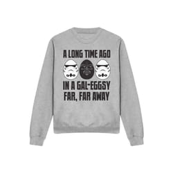 Star Wars - Sweat GALEGGSY FAR, FAR AWAY - Adulte (Gris chiné)
