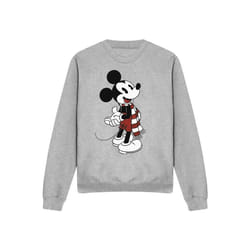 Disney - Sweat - Adulte (Gris chiné)