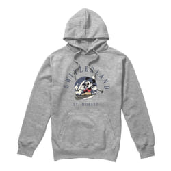 Disney - Sweat à capuche SWITZERLAND - Homme (Gris chiné)