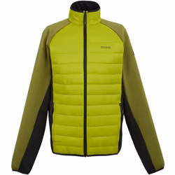 Regatta - Veste hybride CLUMBER - Homme (Vert clair / Vert néphrite)
