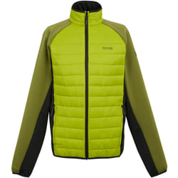 Regatta - Veste hybride CLUMBER - Homme (Vert clair / Vert néphrite)