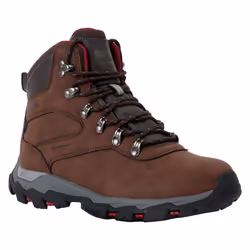 Regatta - Bottines de marche HOLCOMBE CLASSIC - Femme (Châtaigne)