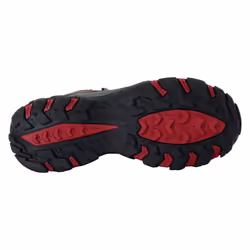 Regatta - Bottines de marche HOLCOMBE CLASSIC - Femme (Châtaigne)