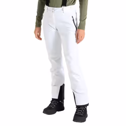 Dare 2B - Pantalon de ski DIMINISH - Femme (Gris foncé)