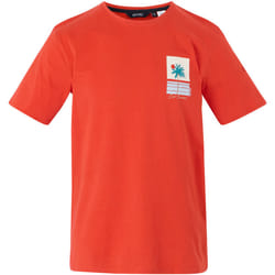 Regatta - T-shirt CLINE COOL SUMMER - Homme (Rouge coquelicot)