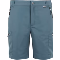 Regatta - Short LEESVILLE - Homme (Gris orageux)