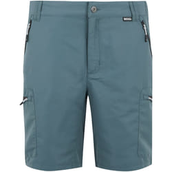 Regatta - Short LEESVILLE - Homme (Gris orageux)