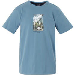 Regatta - T-shirt CLINE SUMMER EXPLORATION - Homme (Bleu de gris)