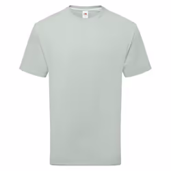 Fruit of the Loom - T-shirt - Adulte (Vert de gris)