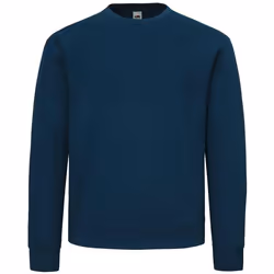 Fruit of the Loom - Sweat SUPERCOTTON - Adulte (Bleu)
