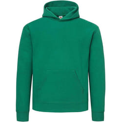 Fruit of the Loom - Sweat à capuche - Homme (Vert)