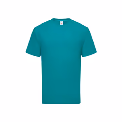 Fruit Of The Loom - T-shirt - Hommes (Bleu sarcelle)