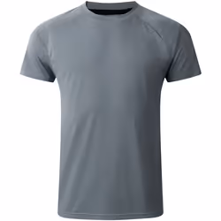 Dare 2B - T-shirt ACCELERATE - Homme (Gris)