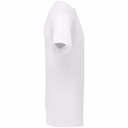 Fruit of the Loom - T-shirt - Adulte (Blanc)