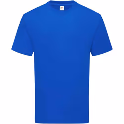Fruit of the Loom - T-shirt - Adulte (Bleu roi)