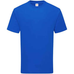 Fruit of the Loom - T-shirt - Adulte (Bleu roi)