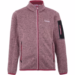 Regatta - Veste polaire NEWHILL - Enfant (Lilas / Bordeaux)