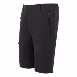 Regatta - Short décontracté HIGHTON - Homme (Cendre)
