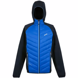 Regatta - Veste hybride ANDRESON - Homme (Bleu olympien / Bleu marine / Bleu clair)