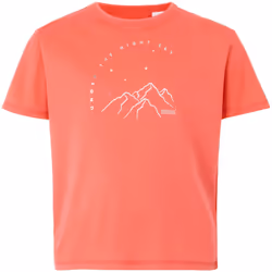 Regatta - T-shirt ALVARADO - Enfant (Pêche foncée)