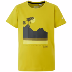 Regatta - T-shirt BOSLEY - Enfant (Vert clair)