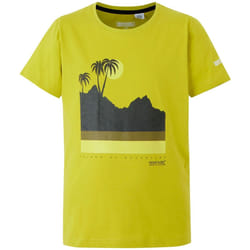 Regatta - T-shirt BOSLEY - Enfant (Vert clair)