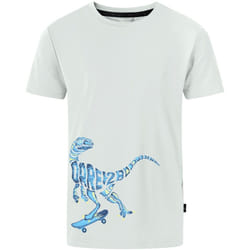 Dare 2B - T-shirt AMUSE - Garçon (Gris turquoise)
