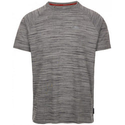 Trespass - T-shirt LEECANA - Homme (Gris chiné)