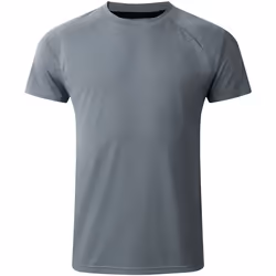 Dare 2B - T-shirt ACCELERATE - Homme (Gris)